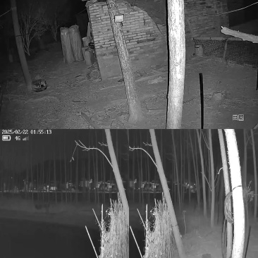 香春木10至30公分，大量木