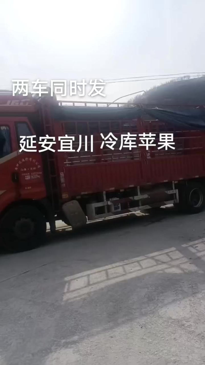 红富士苹果