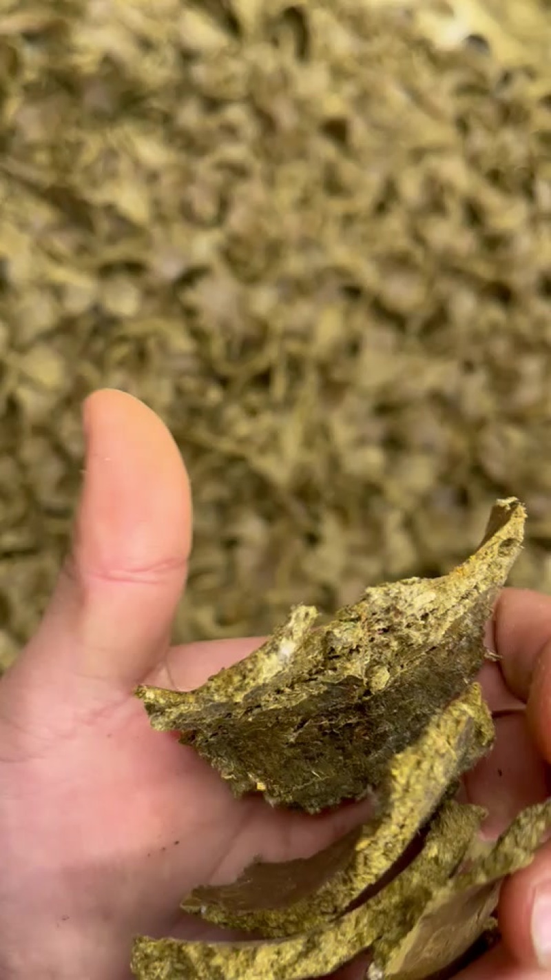 棉籽饼菜籽饼大量有货价格合适改善土壤增加产量