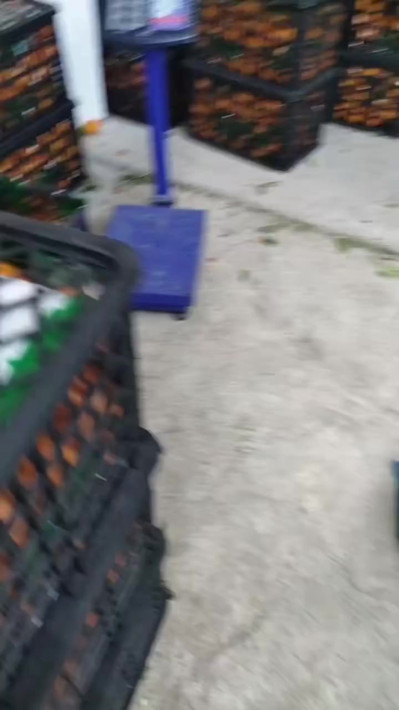 本地的黄果