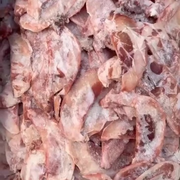 羔羊月牙骨。高钙食品