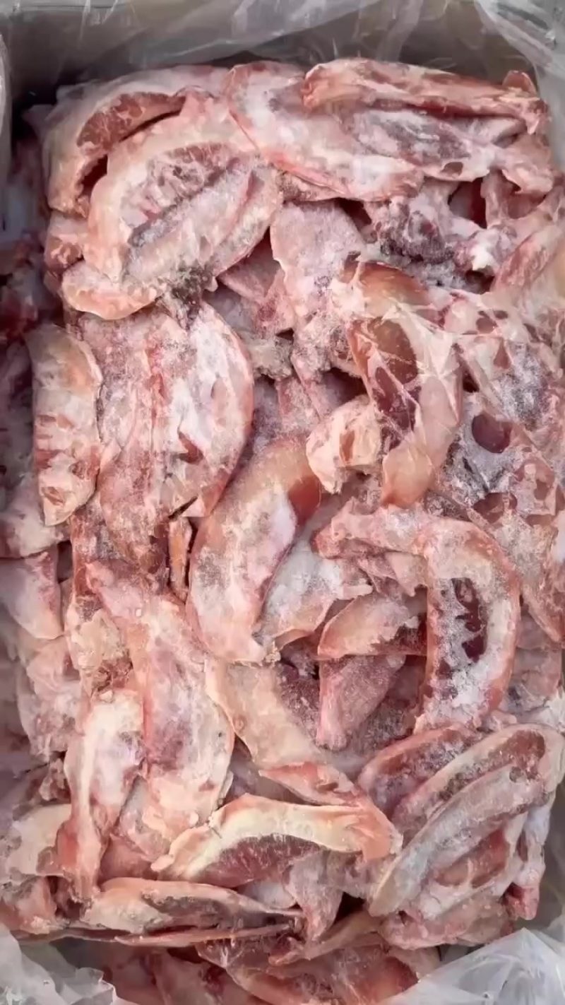 羔羊月牙骨。高钙食品
