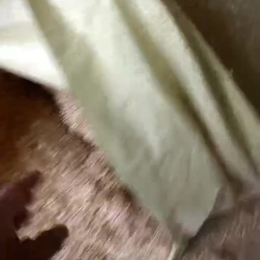 压缩稻壳验货中！