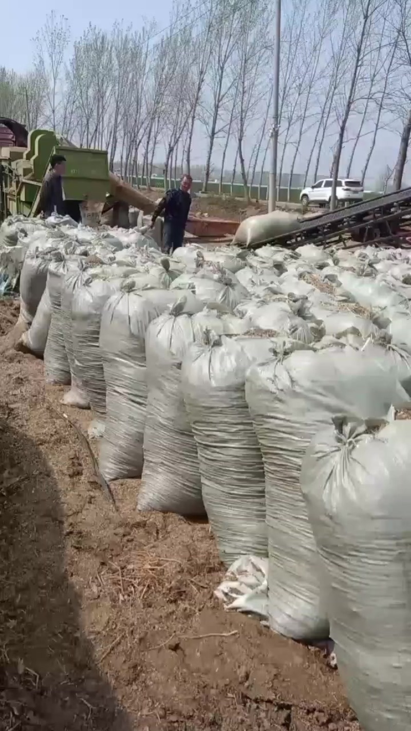 花生秧草料