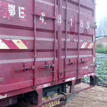 早上好！压缩稻壳发宜昌卸货中！