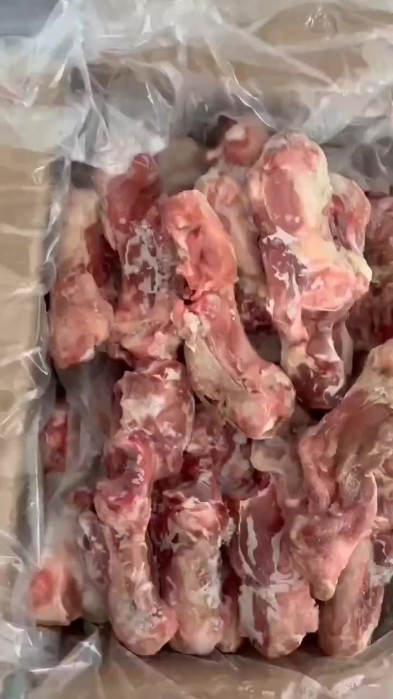 前腿骨