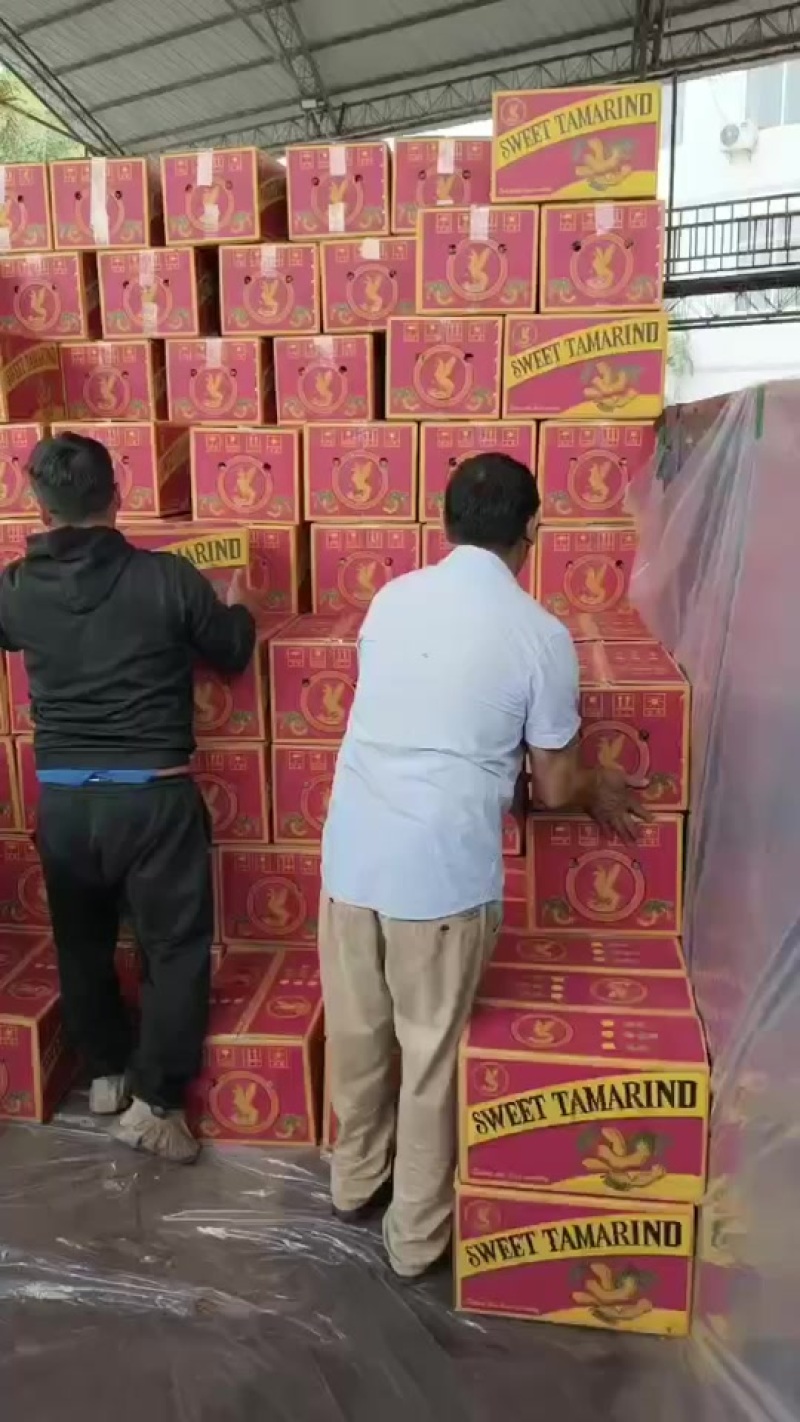 甜酸角