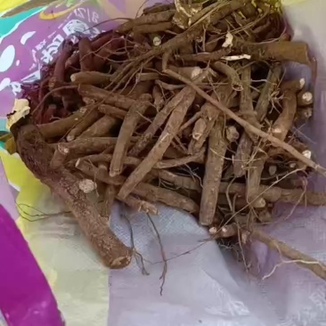 芍药鲜切花根