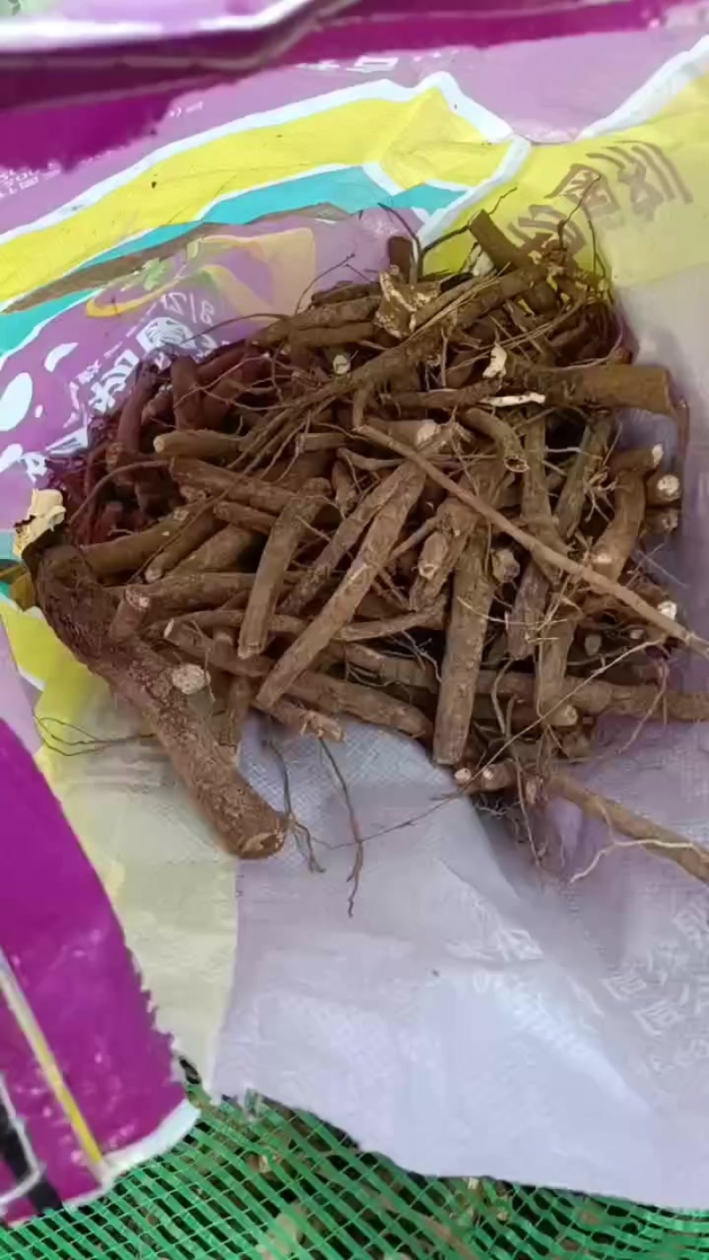 芍药鲜切花根