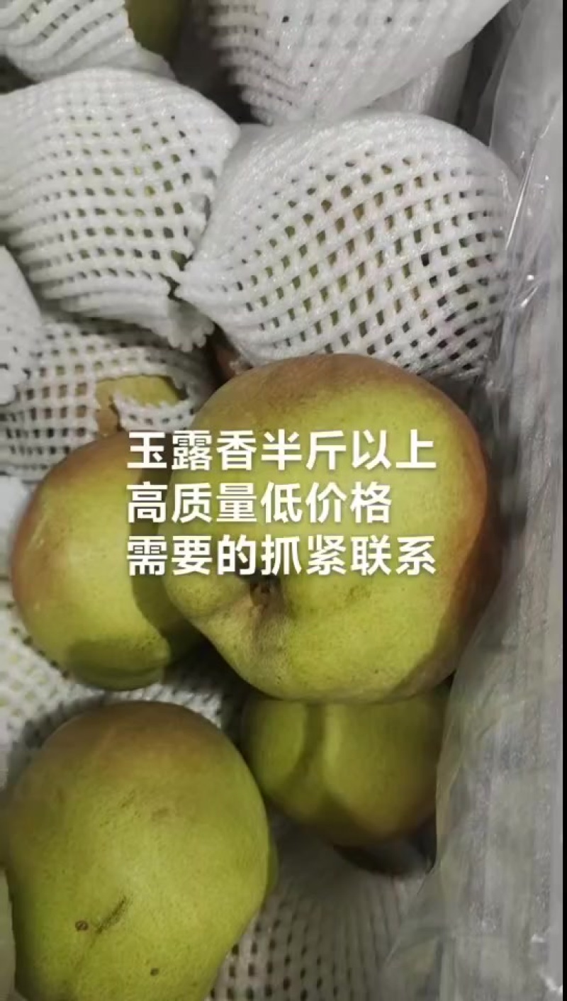 精品水晶鸭梨，20一箱，36斤