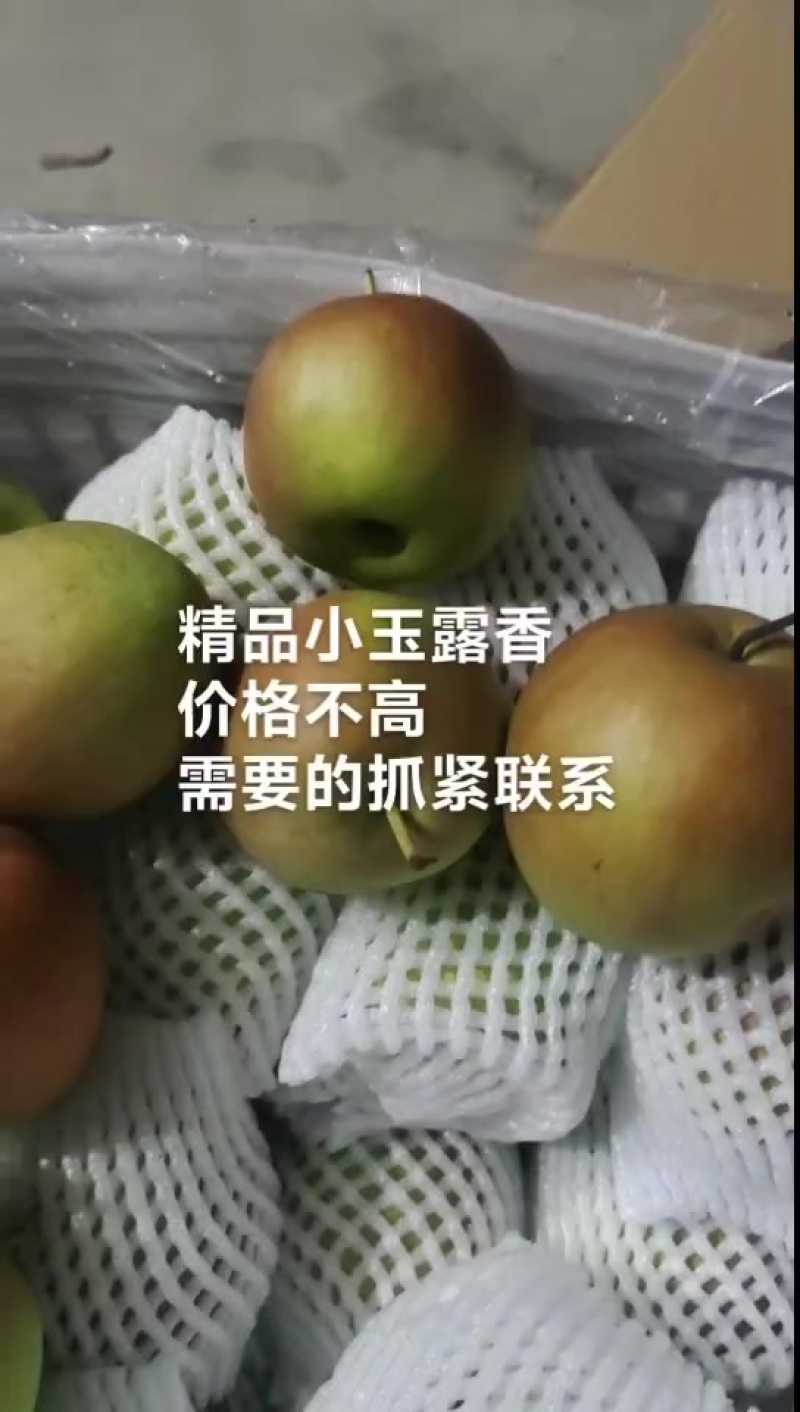 精品水晶鸭梨，20一箱，36斤