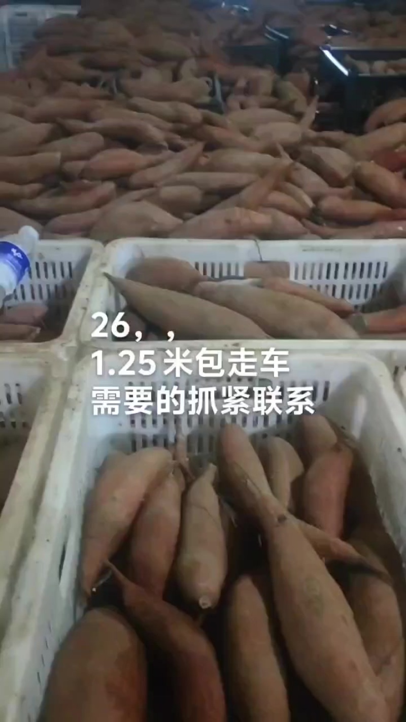 精品西瓜红，价格不高