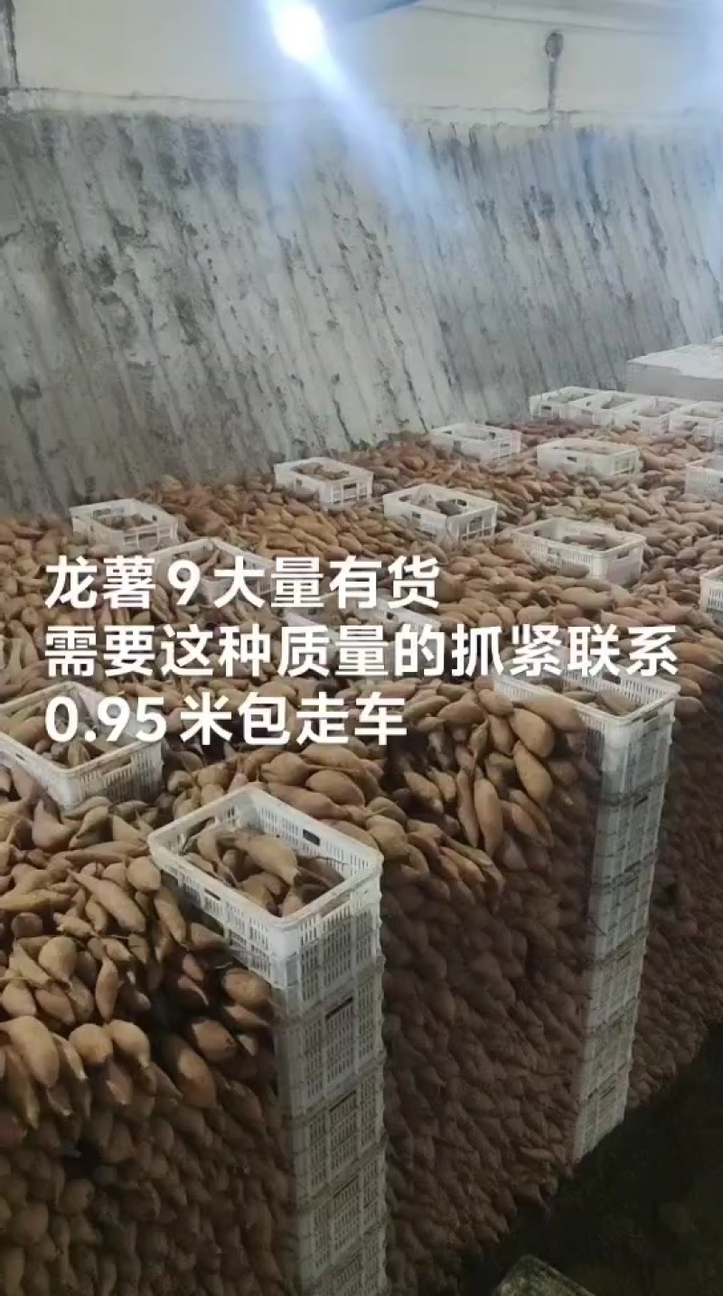 精品西瓜红，价格不高