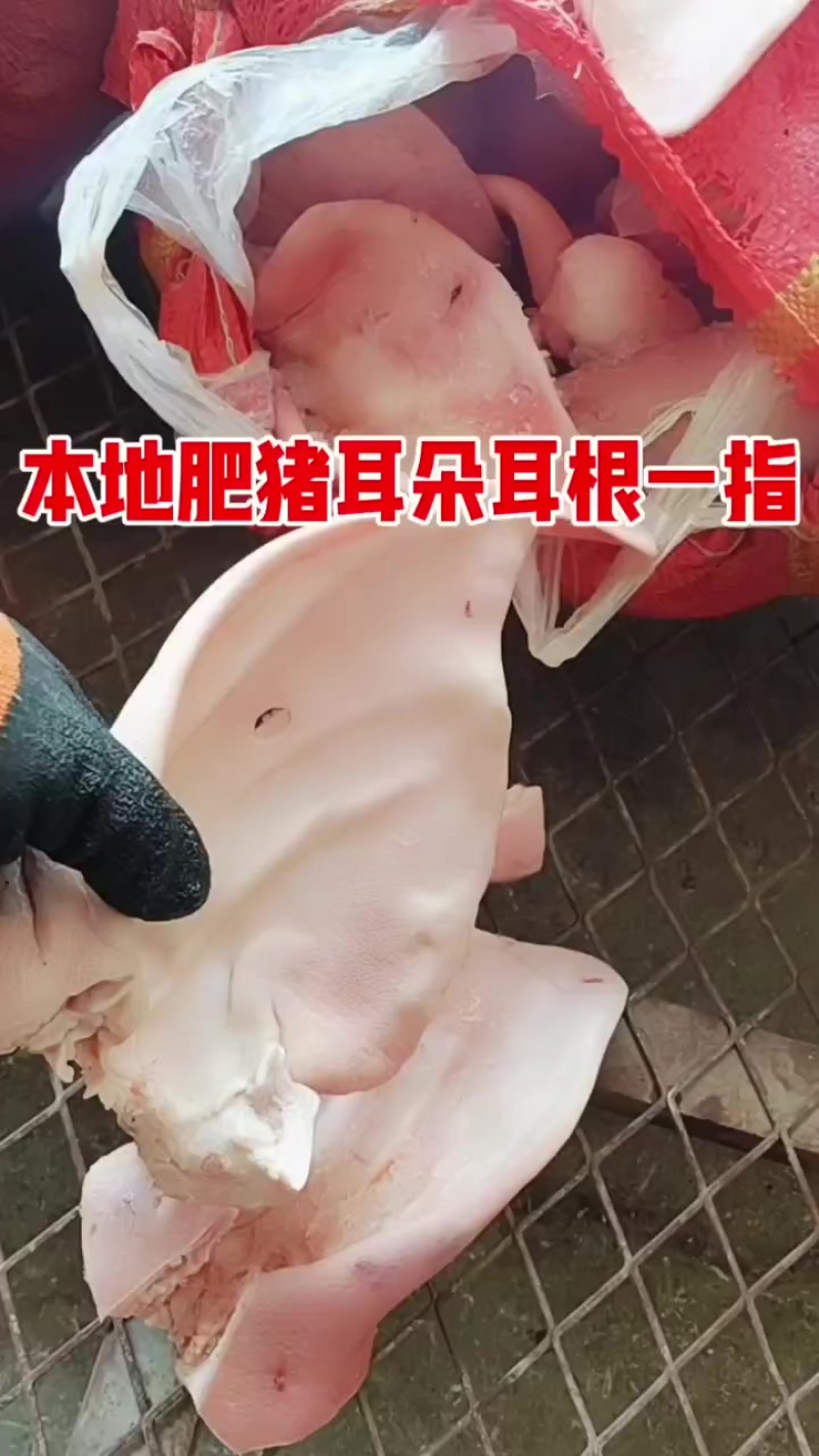 猪耳朵