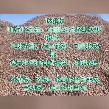 核桃粉