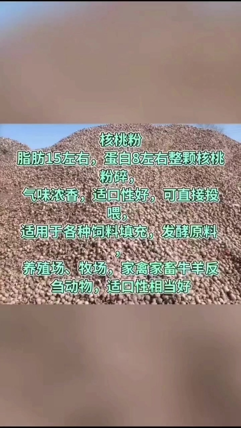 核桃粉
