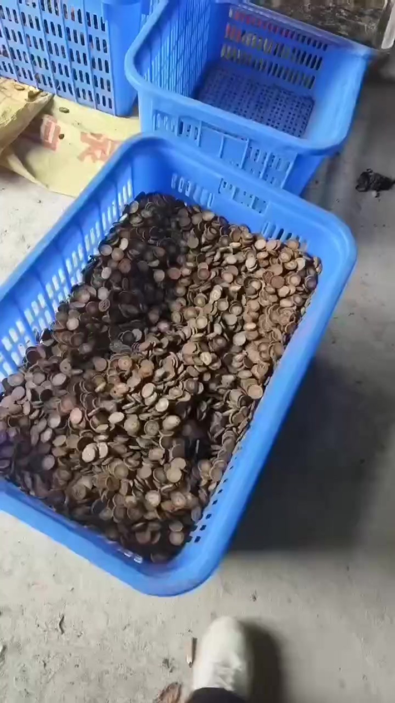 化橘红压片产地直发源头好货，批发！
