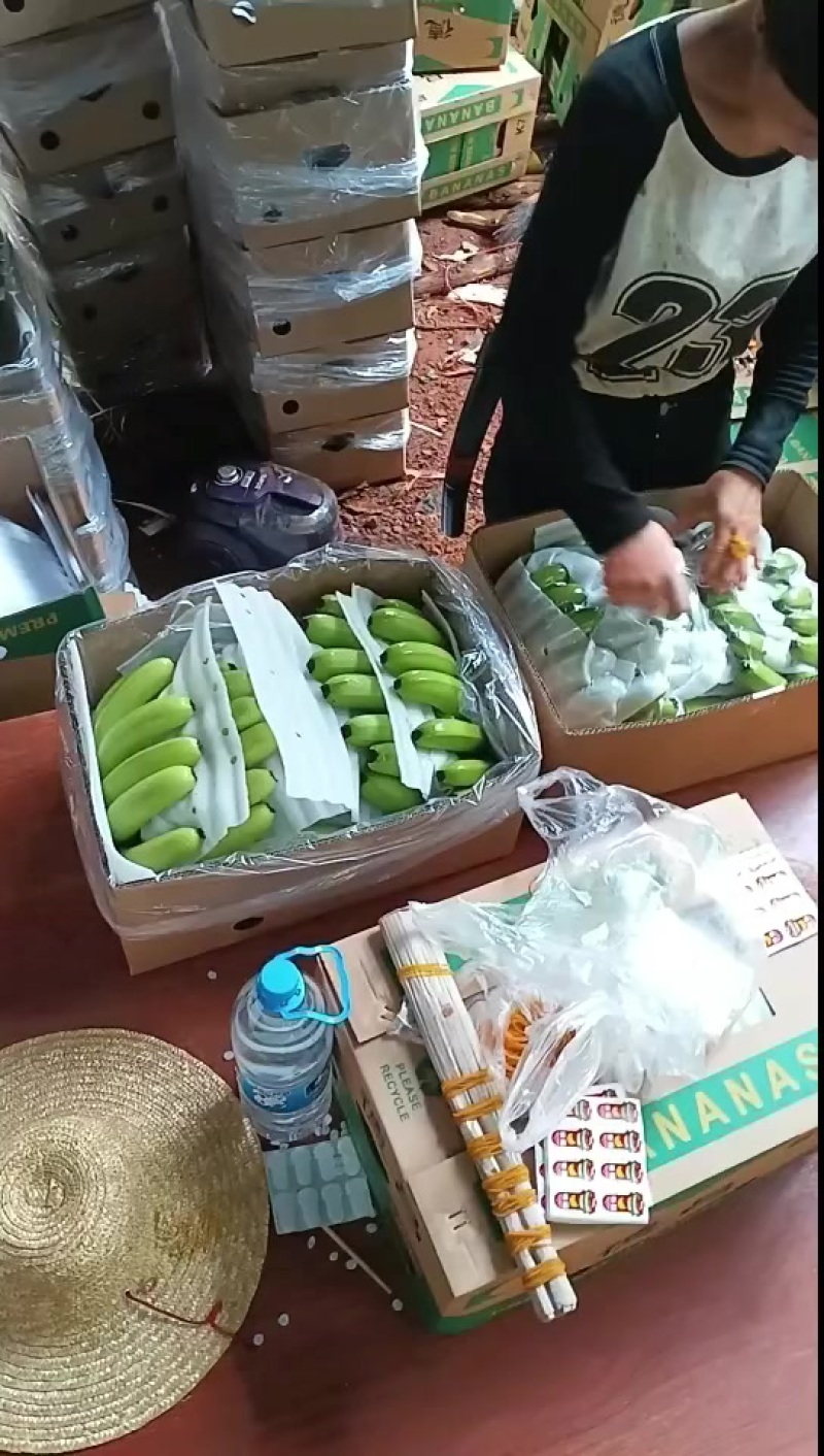 香蕉