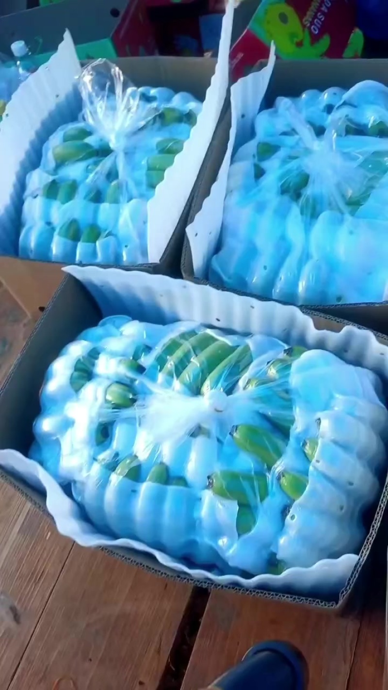 香蕉