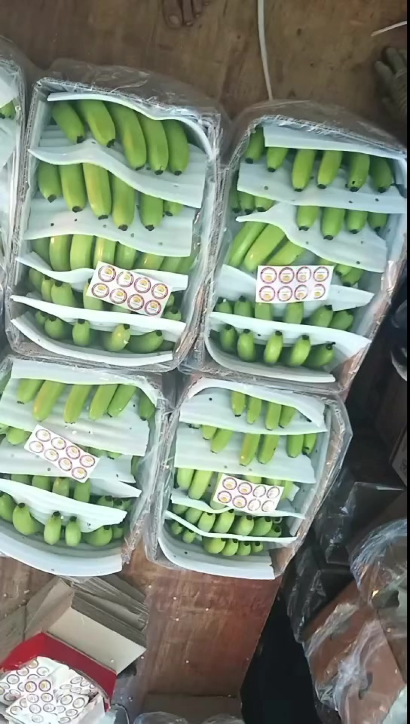 香蕉