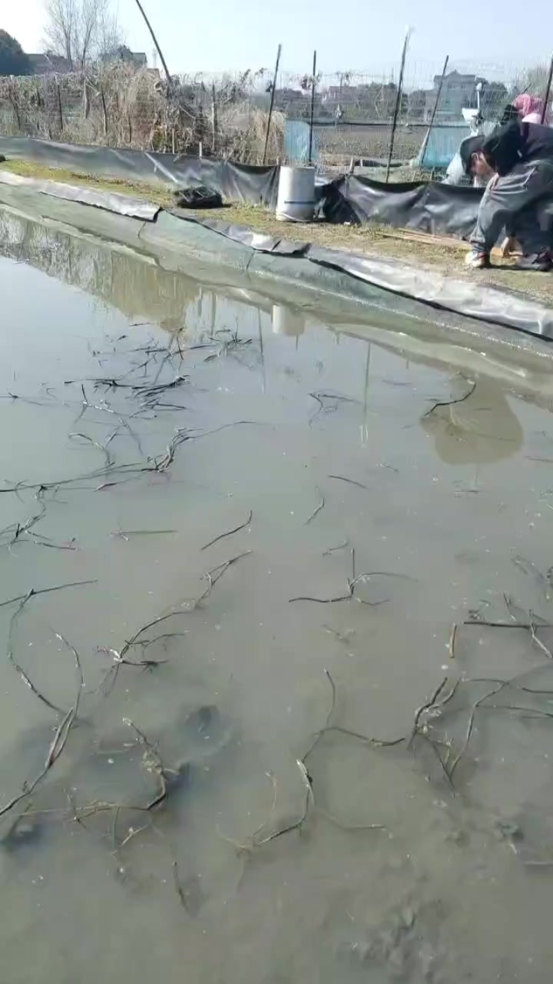 诚心经营，长期合作