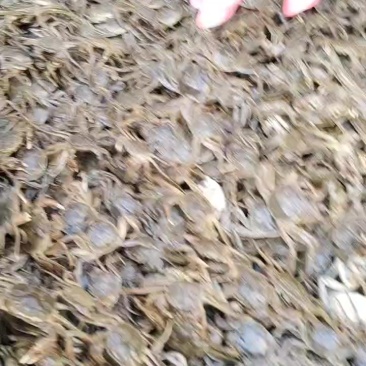 诚心经营，长期合作