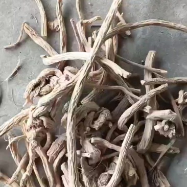 中药材防风新货，含量够，30吨现货，药厂专用