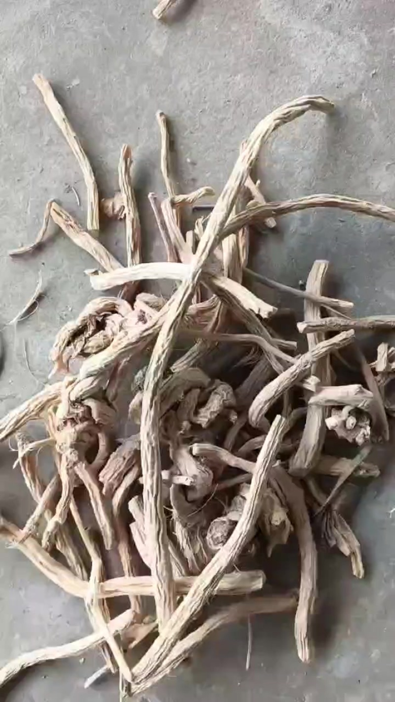 中药材防风新货，含量够，30吨现货，药厂专用