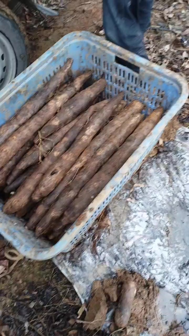 地租到期，还有六十亩，便宜卖五毛钱，有需要的朋友可以联系