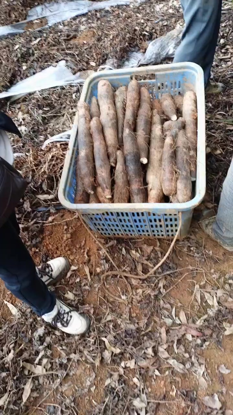 地租到期，还有六十亩，便宜卖五毛钱，有需要的朋友可以联系