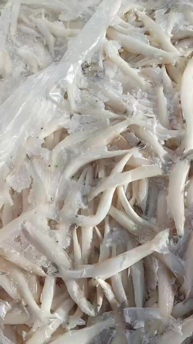 8一10公分冻版银鱼现货3吨半