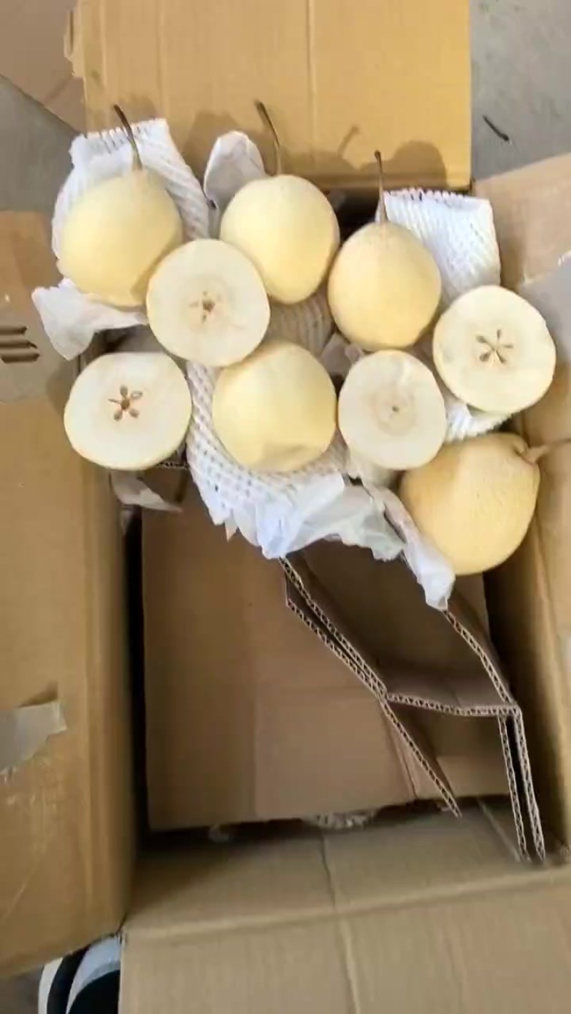 水晶鸭梨电商供应连锁商超供应市场精品产地一手货源