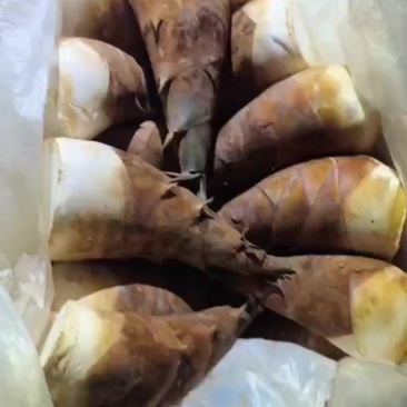蔬菜