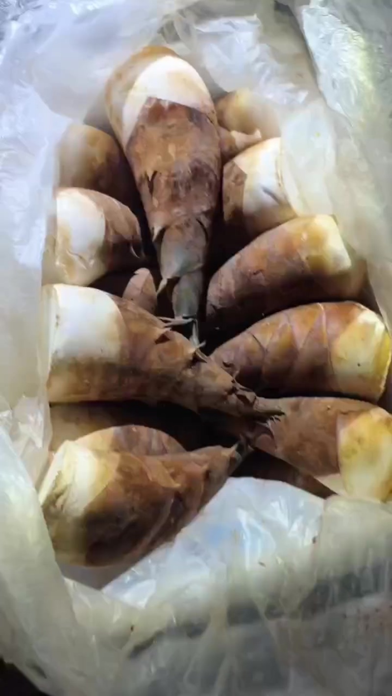蔬菜
