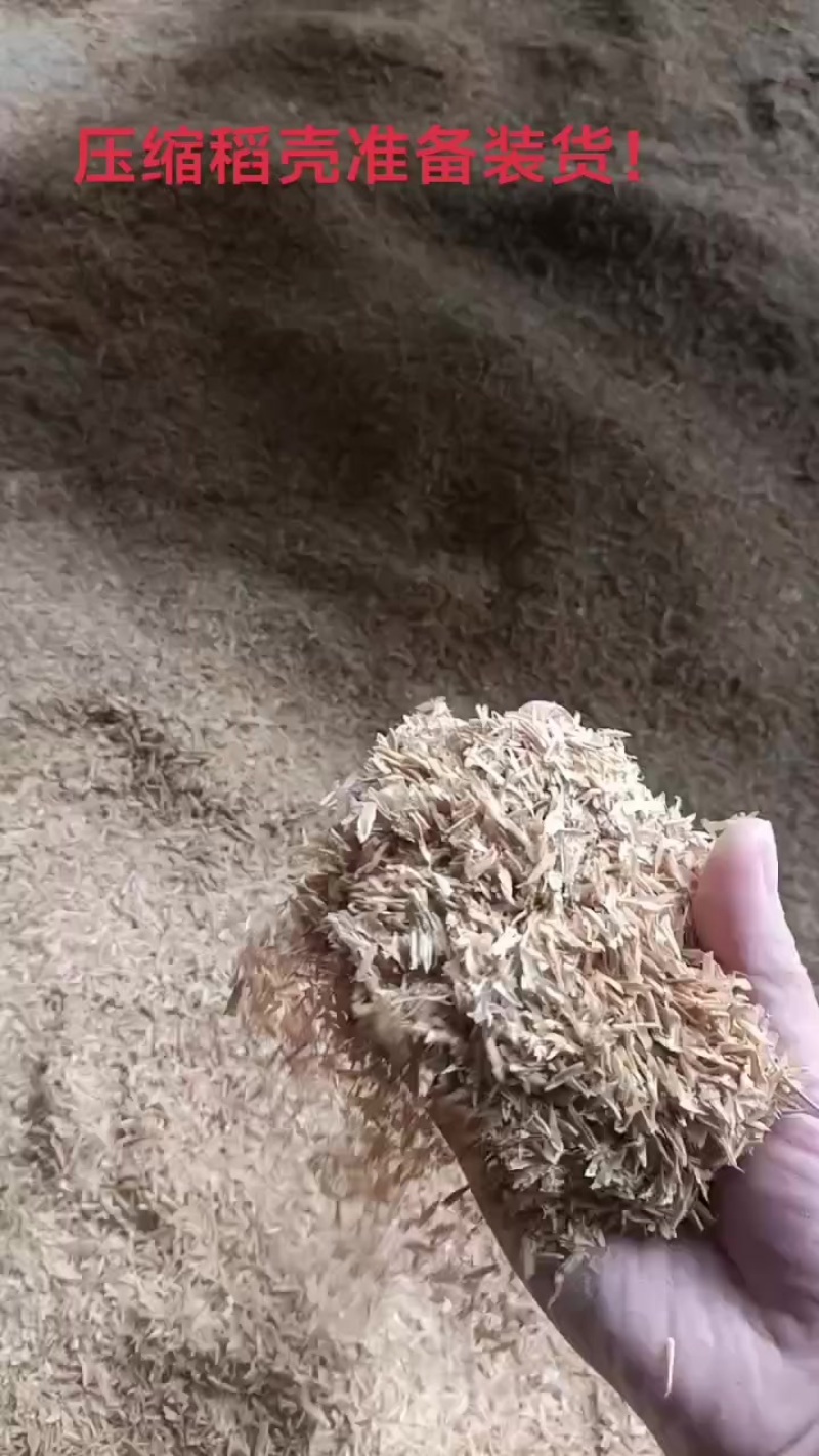 压缩稻壳准备装货中！