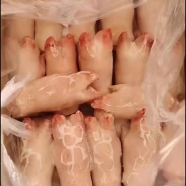 猪蹄