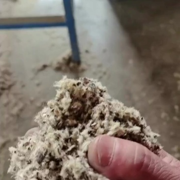 新疆压缩棉壳