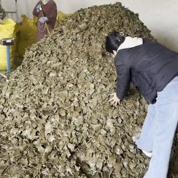 棉籽饼有机肥