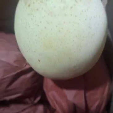 自己家放的