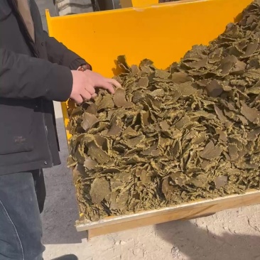 棉籽饼菜籽饼芝麻饼