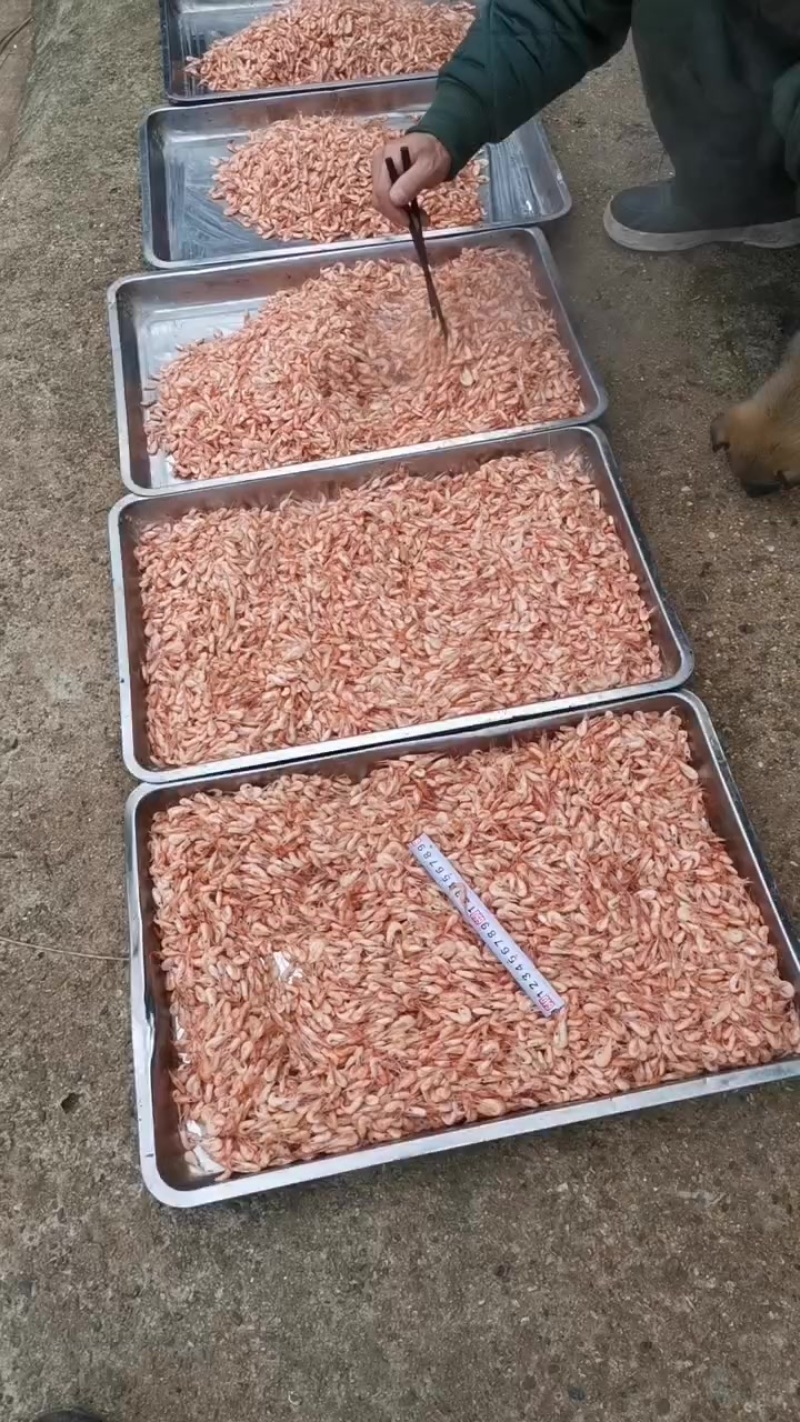 油炸河虾