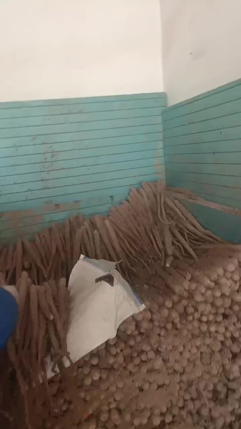 双棒二三路