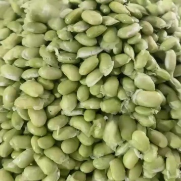毛豆米大量供应