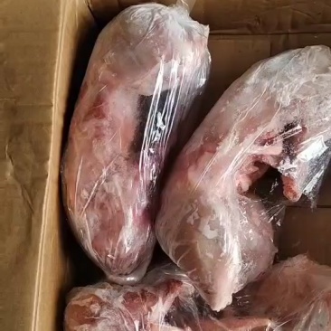 兔🐰🐰新到冰鲜白条兔