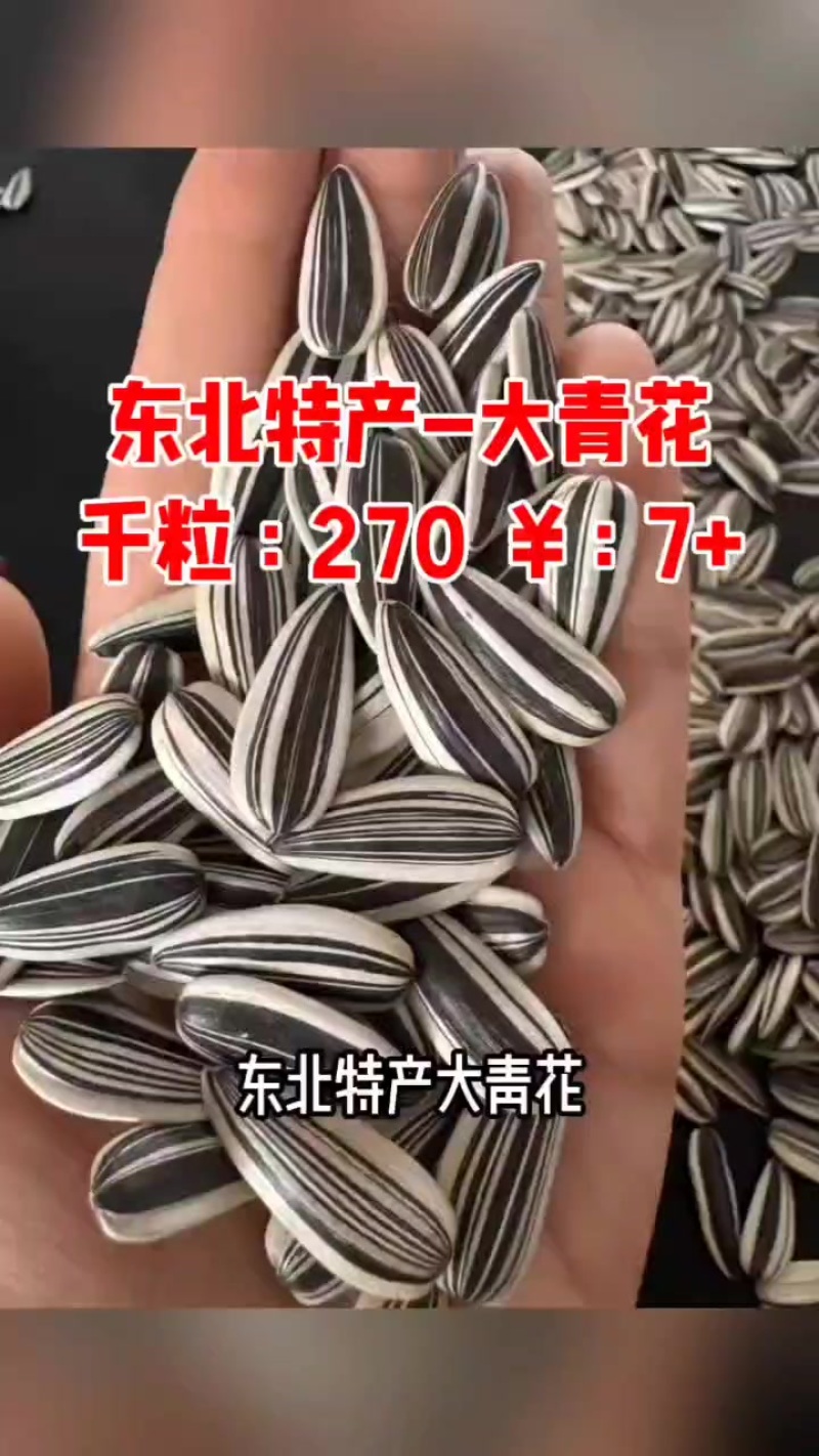 生瓜子或是熟瓜子