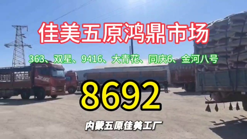 生瓜子或是熟瓜子