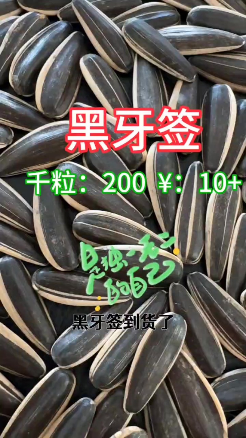 生瓜子或是熟瓜子
