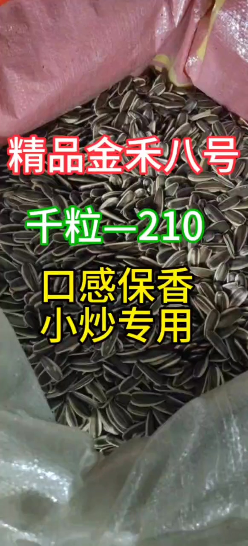 生瓜子或是熟瓜子