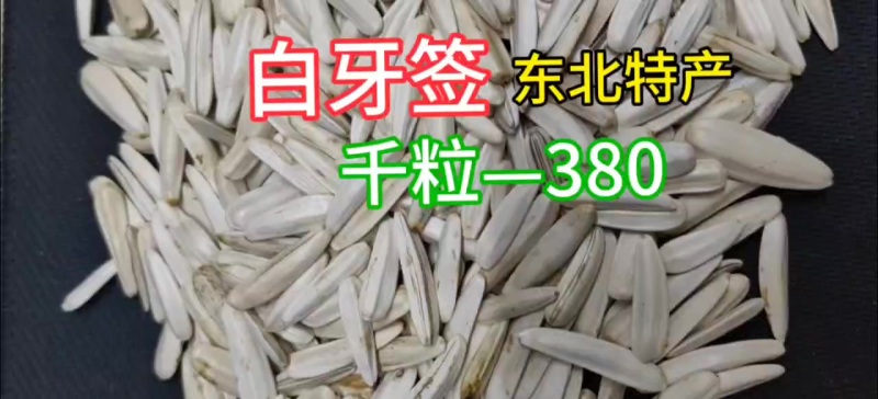 东北特产白牙签380千粒