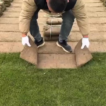 百慕大混播